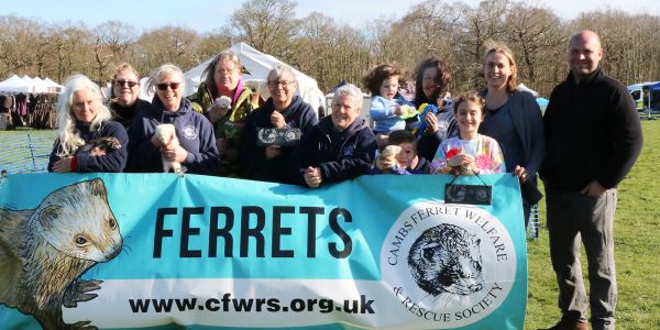 Henham Ferret Show