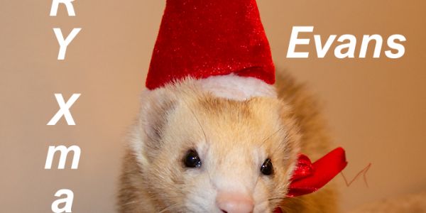 Merry Xmas from Jo Jo Evans