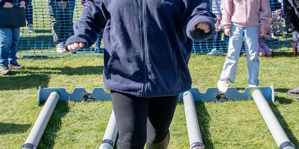 Henham Show 2026