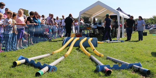 Ferret shows and Events